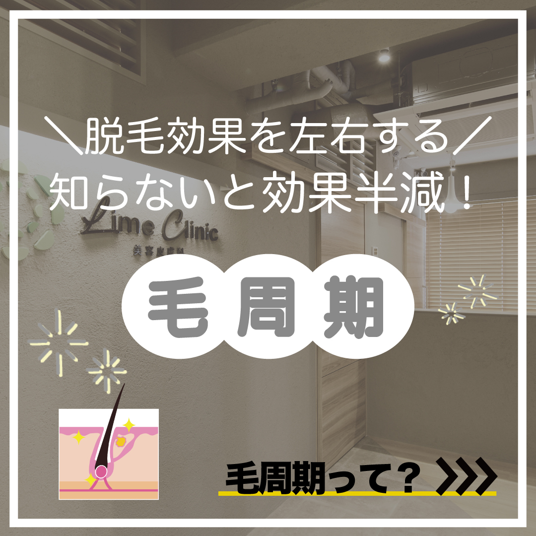 知らないと損！脱毛と毛周期の深い関係
